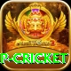 2022 world cup cricket Pro Max v4.8.3