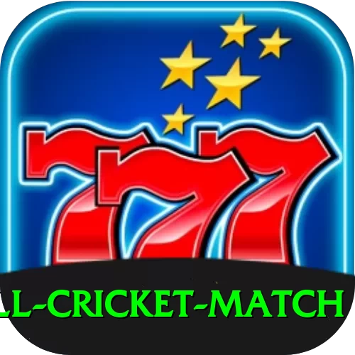 all cricket match Deluxe v1.7.8 - 2