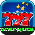 all cricket match Deluxe v1.7.8