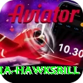 antigua hawksbill Premium v4.2.9