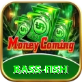 bass fish Premium Edition v5.0.6