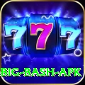 bbl big bash apk Master Pro v3.1.2