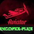 bingopkr Elite Pro v1.3.3
