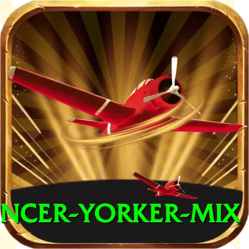 bouncer yorker mix Pro Edition v4.2.2 - 2