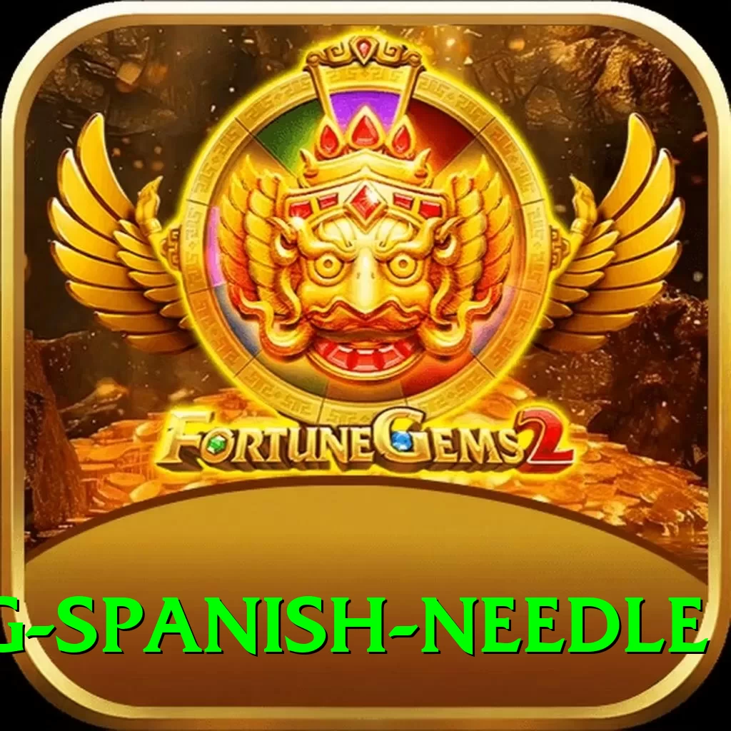 canyoning spanish needle Pro1 v1.6.0 - 2