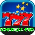 cricket match schedule Gaming King v1.4.1