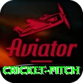 cricket pitch Plus v2.7.0
