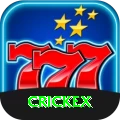 crickex Plus Edition v2.5.6