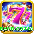 david gower Elite v2.9.8