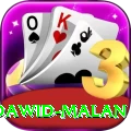 dawid malan VIP Edition v4.5.0