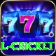 defending total cricket Gold Edition v4.6.7