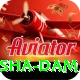 diamer bhasha dam Pro v3.6.1
