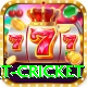 early payout cricket Pro Edition v3.9.9