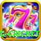 eng cricket Games (Casino & Earning) Elite v1.6.8