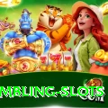 gambling slots Premium Plus v1.4.1