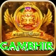 gautam gambhir Deluxe v1.4.9