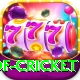 god of cricket Premium v5.9.2