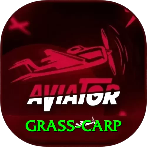 grass carp Apps (Tools & Injectors) Master v3.7.3 - 2