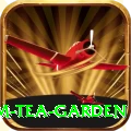 hile ilam tea garden Games (Casino & Earning) Premium v5.4.7