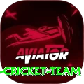 hong kong cricket team Pro v4.6.0