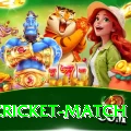 india cricket match Plus v1.1.6