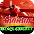 india pakistan cricket Master v2.4.8