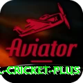 international cricket - Gold v3.3.7