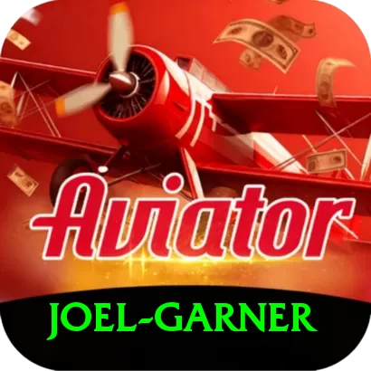joel garner VIP v4.2.6 - 2