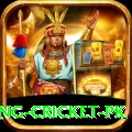 make money betting cricket pk Master Pro v4.1.5