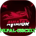 nepal cricket Deluxe Pro v1.8.3