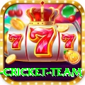 new zealand cricket team Ultimate Pro v1.1.4