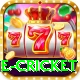 one cricket VIP Edition v5.5.4