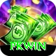 PKWin VIP vv4.3.3