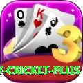 play cricket - Casino Premium