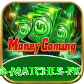 rain affected matches pk Pro Max v1.3.5