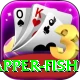 red snapper fish Games (Casino & Earning) Premium v5.7.6