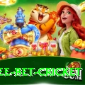 risk free bet cricket Pro Edition v3.4.3