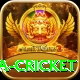 sa cricket VIP Edition v3.1.5