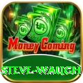 steve waugh Ultimate Pro v4.8.6