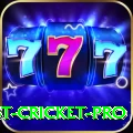 test cricket Slot Machine Ultimate