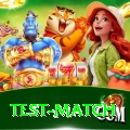 test match Plus Edition v4.1.1