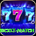 to day cricket match Pro Edition v4.7.5