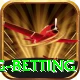 turkey super lig betting Turbo Pro v2.2.7