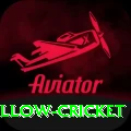 willow cricket Games (Casino & Earning) Max v1.0.2
