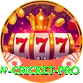willow cricket Official v4.6.3