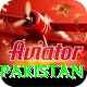 win money online pakistan Apps (Tools & Injectors) Turbo v1.4.9