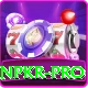winpkr Apps (Tools & Injectors) Premium v4.8.2