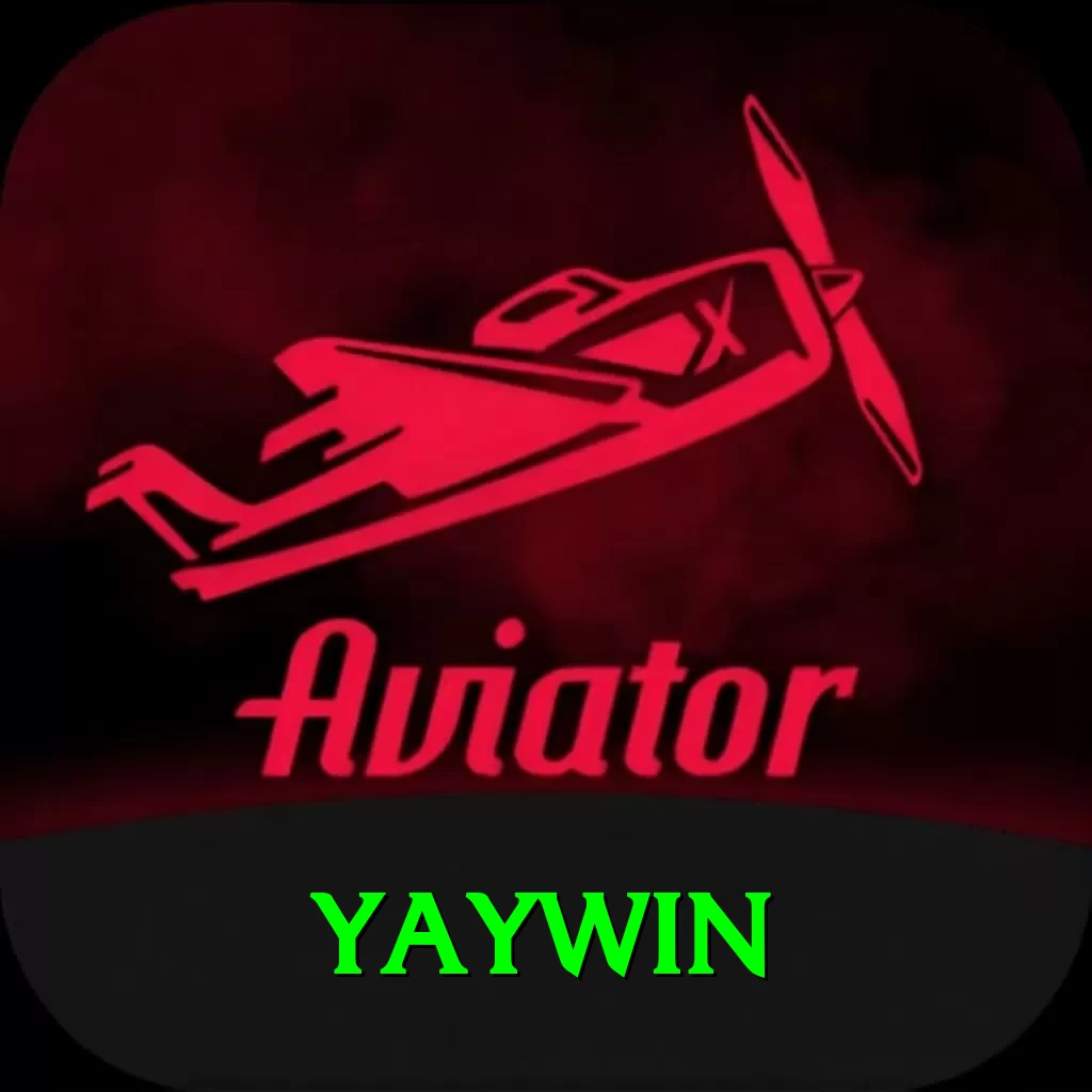 yaywin Pro1 v4.8.1 - 2